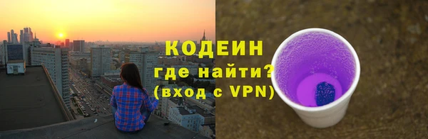 прущие грибы Алзамай