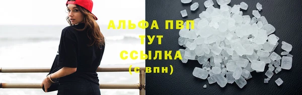 прущие грибы Алзамай