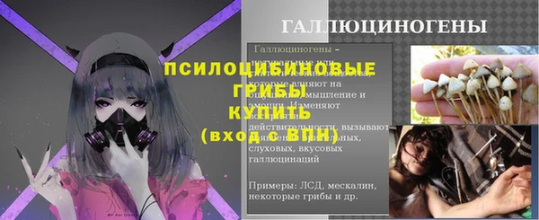 прущие грибы Алзамай