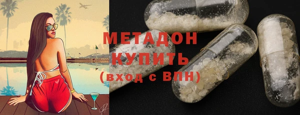 прущие грибы Алзамай