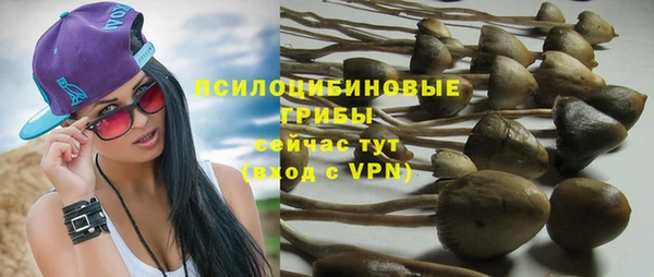 прущие грибы Алзамай