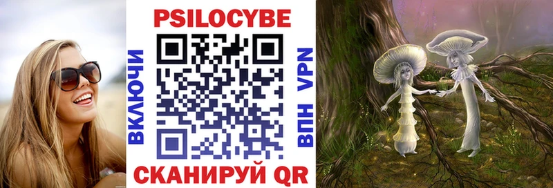 Псилоцибиновые грибы GOLDEN TEACHER  где продают   Ладушкин 